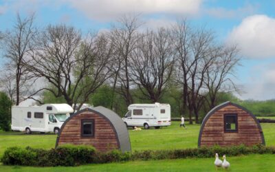 7 Night Bargains!