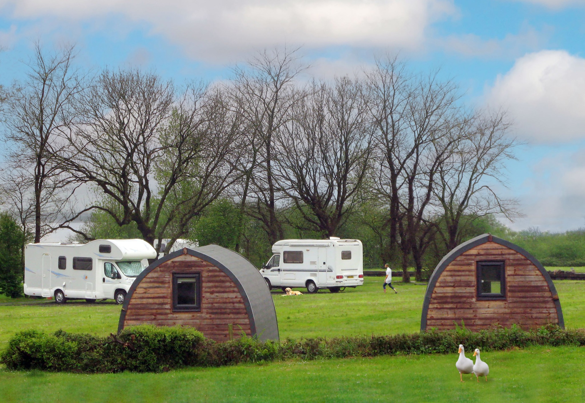 7 Night Bargains!